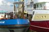 an bord, netze, fangschiff, trawler, schiff, fischerei, hafen, harlingen, 