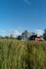blauer himmel, rot, holzhaus, schilf, prerower strom, 