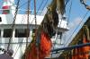 bunt, ketten, netze, detail, harlingen, trawler, fischereihafen, 