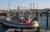 maasholm, fischerboot, netzflaggen, stege, fischfang, yachten, hafen, masten, schlei, fischfang, 