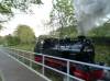 rasender roland, rgen, inselbahn, dampflok, 