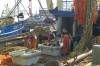 fischerei, mannschaft, vorbereitungen, deck, netze, matrosen, arbeit, 