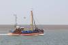 krabbenkutter, nordseekste, wattenmeer, ausflgler, tagestour, 