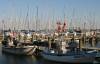 maasholm, fischerboote, yachten, hafen, masten, schlei, fischfang, 