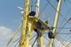 holland, fischerei, mast, ausguck, stahlseile, blcke, schiff, 