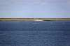 paddler, meereskajaks, deich, wattenmeer, nordsee, norderney, 