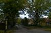 laubbume, herbst, weg, ort, dar, ostsee, prerow, 