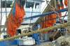 fischereihafen, trawler, harlingen, matosen, deck, netze, bunt, orange, blau, steuerhaus, 