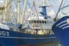 schiffe, fischerei, friesland, blau, matrose, hafen, sonnig, trawler, 