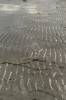 , wellenstruktur, sand. strand, 