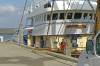 harlingen, fischereihafen, trawler, fischfang, matrose, 