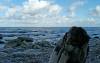 brandung, rgen, ostsee, kiesstrand, baumstumpf, 
