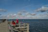 fttern, mwen, familie, seebrcke, ostsee, prerow, 