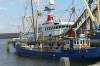 schiffe, trawler, hafen, anleger, harlingen, fischerei, 