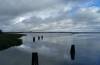 wolkenspiegelung, stille, abendstimmung, dar, boddenkste, 