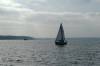 segelboot, frde, dnisches segelboot, gegenlicht, 