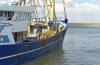  fischereihafen, hollndische fischerei, seitenansicht, trawler, 