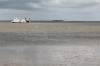 fhre, nordfiesland, dagebll, wattenmeer, berfahrt, ferien, reise, 