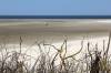 nordsee, weite, menschen, strand, meer, spiekeroog, 