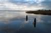 abendstimmung, wolkenspiegelung, barth, bodden, 