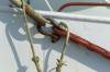 holland, fischerei, seil, schkel, eisen, schiff, bordwand, 
