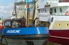 fischereihafen, trawler, harlingen, matosen, deck, zwei schiffe, unterhaltung, seeleute, 