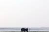 urlaub, nordsee, kste, bank , weitblick, menschengruppe, deich, 