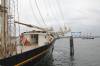 kieler frde, kai, bug, frdeblick, traditionssegler, kieler woche, 