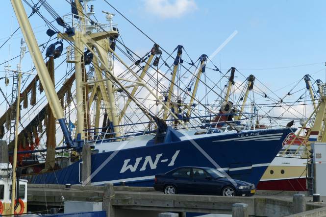 Fischereihafen 5