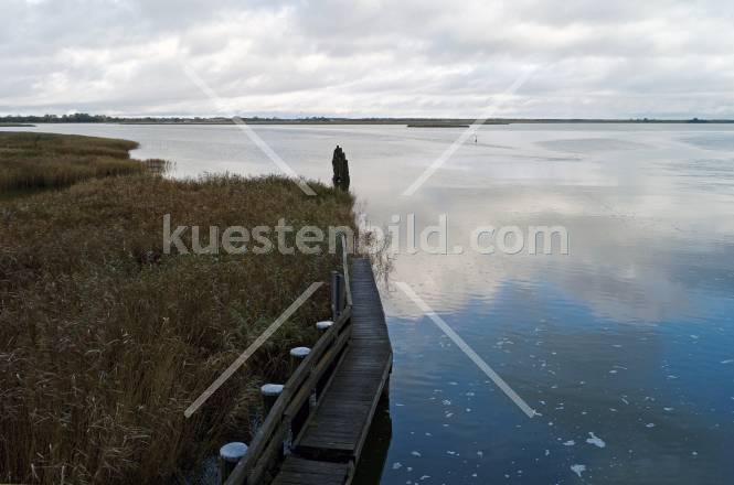 Steg am Barther Bodden