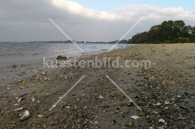 Förde, Sandstrand mit Muscheln