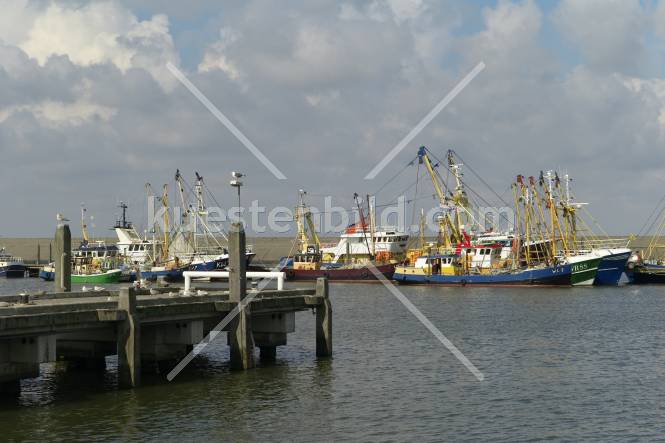 Fischereihafen, Trawler am Kai