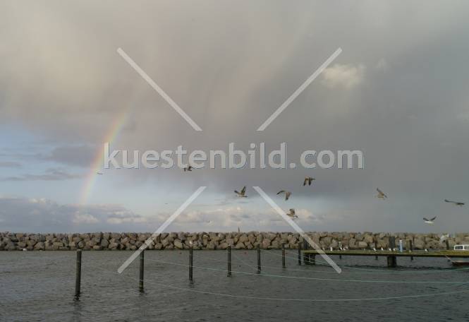 Mwen im Hafen Glowe vor Regenbogen