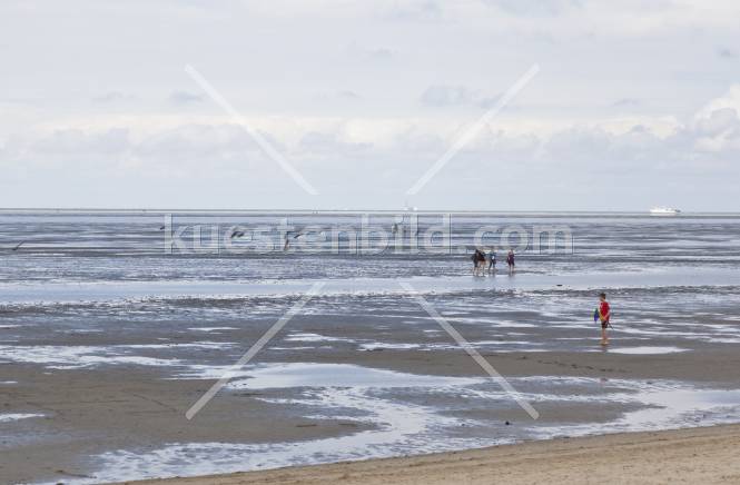 Watt mit Urlaubern