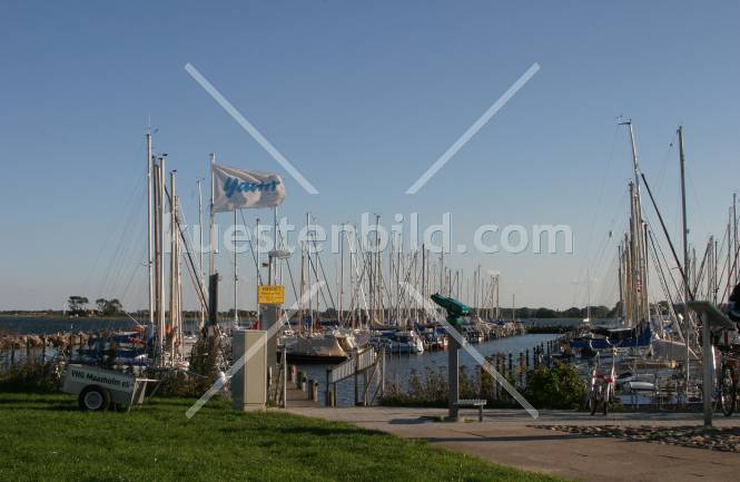 Maasholm Yachtflagge