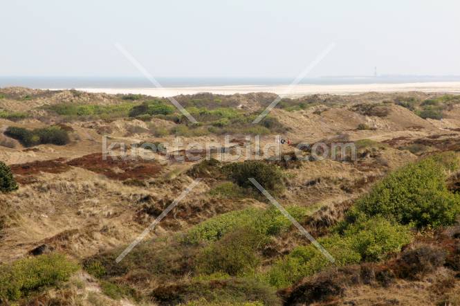 Dünenlandschaft 2