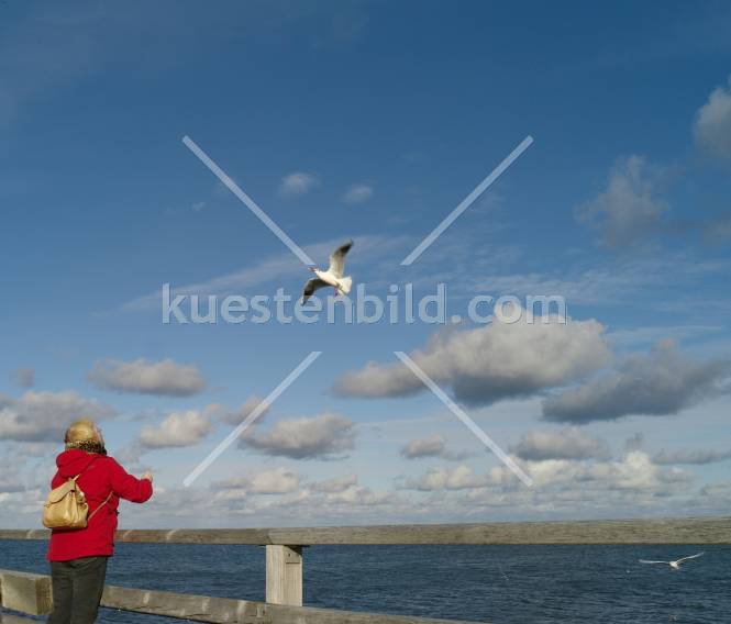 Frau mit Möwe