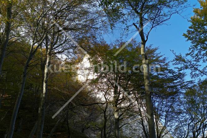 Kreidekste, Herbstwald mit Kreidefelsen