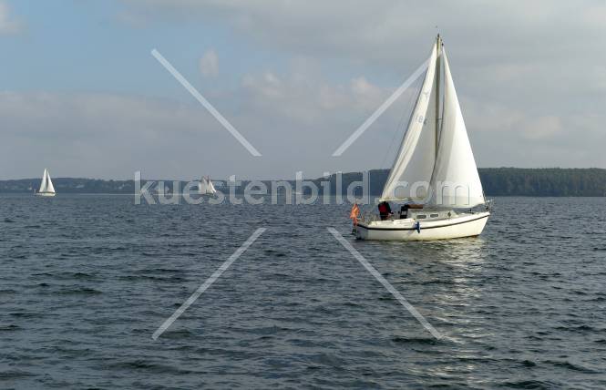Dänisches Segelboot auf der Förde