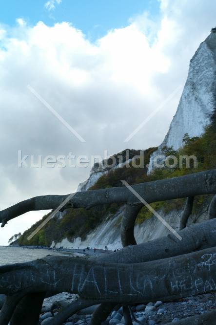 Kreidekste, mgestrzter Baum 