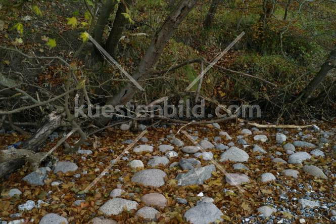 Herbstlaub auf Kiesstrand