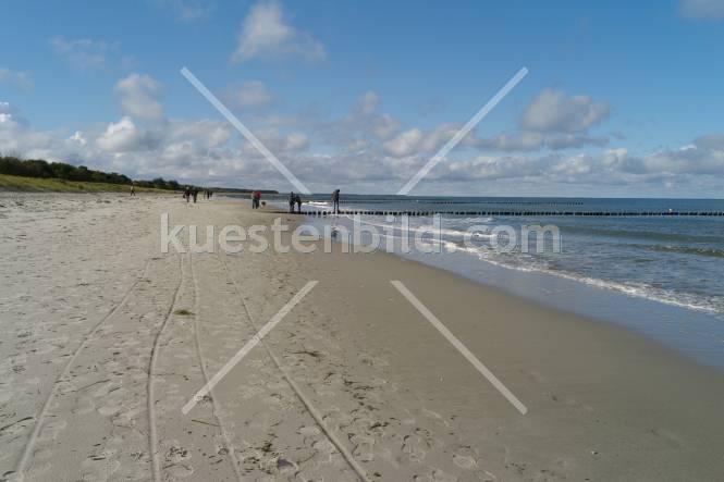 Strand auf dem Darß