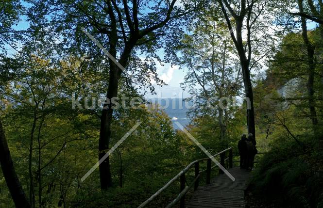 Kreidekste, am Knigsstuhl - auf dem Weg zum Strand