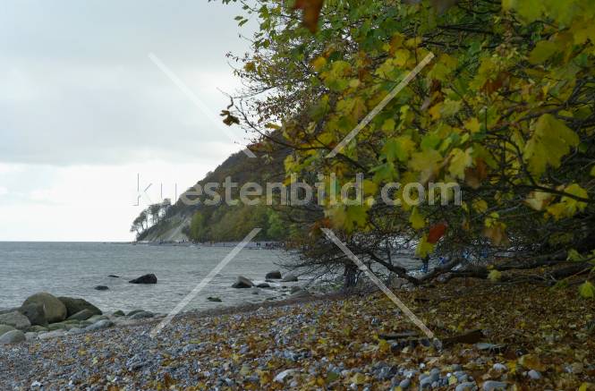 Kreideküste, herbstlicher Kiesstrand am Königsstuhl