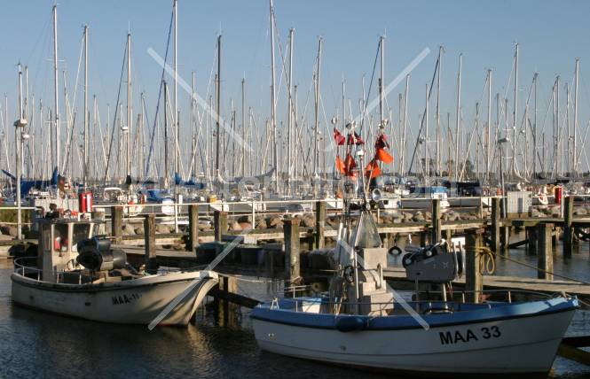 Maasholm Fischerboote