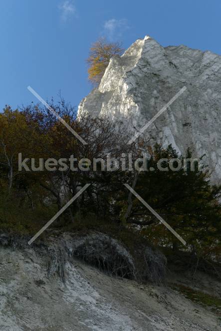 Kreidefelsen, Abbruchkante im Sonnenlicht