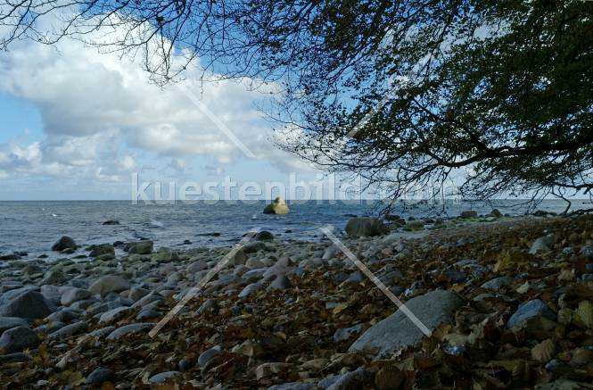 Kreidekste Rgen, herbstlicher Kiesstrand mit blauem Himmel 