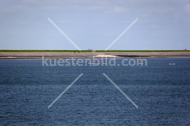 Paddler vor Deich