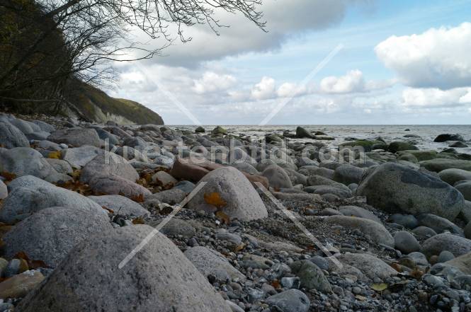 Kreideküste, am Strand vor dem Königsstuhl