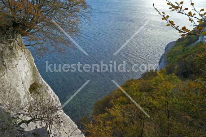 Blick vom Knigsstuhl auf die Ostsee, Kreidekste Rgen